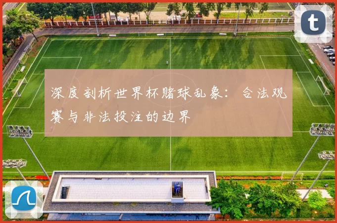 深度剖析世界杯赌球乱象：合法观赛与非法投注的边界