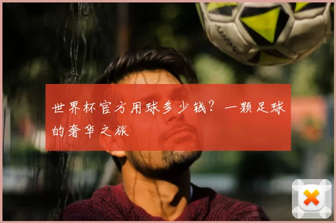 世界杯官方用球多少钱?一颗足球的奢华之旅