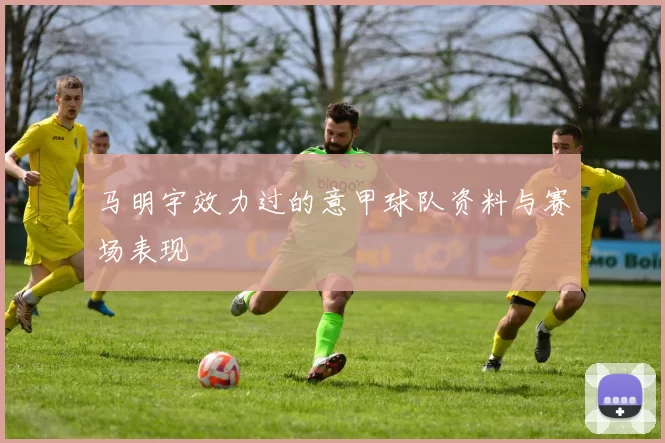 马明宇效力过的意甲球队资料与赛场表现