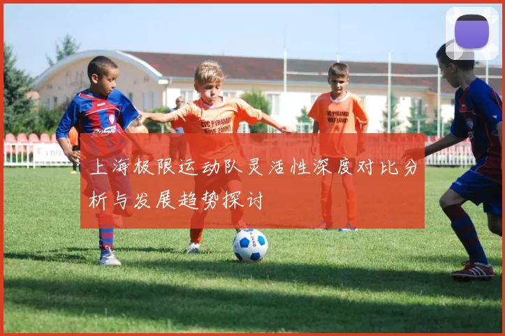 上海极限运动队灵活性深度对比分析与发展趋势探讨