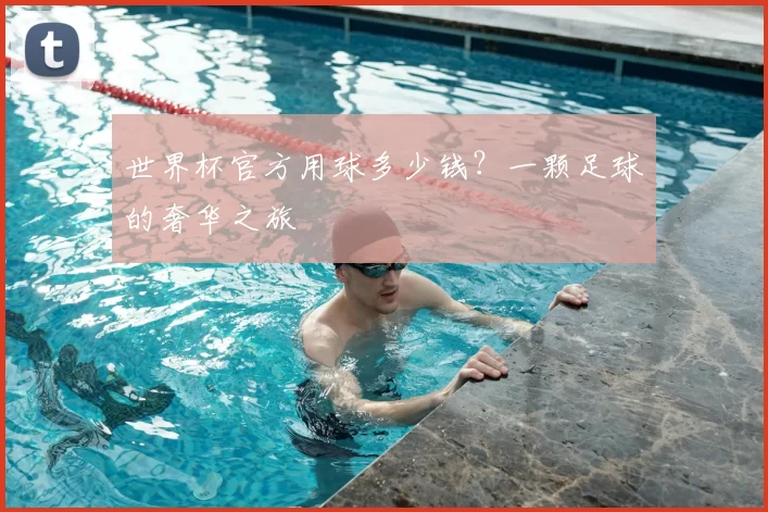 世界杯官方用球多少钱?一颗足球的奢华之旅