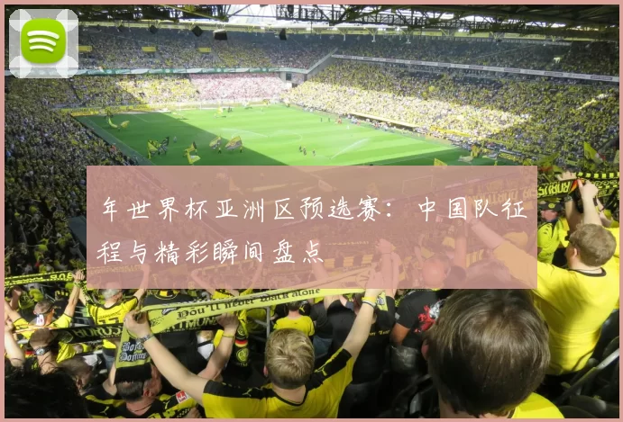 年世界杯亚洲区预选赛：中国队征程与精彩瞬间盘点