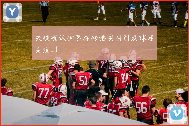 央视确认世界杯转播安排引发球迷关注_1
