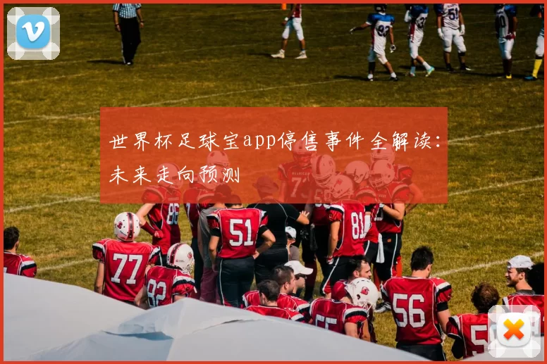 世界杯足球宝app停售事件全解读:未来走向预测