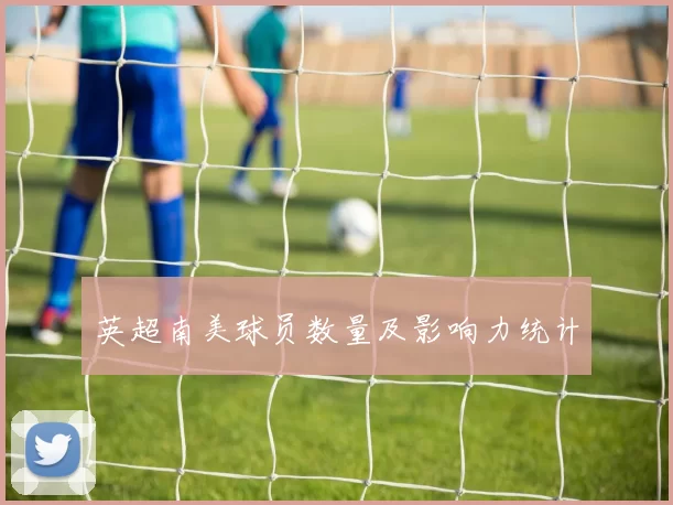 英超南美球员数量及影响力统计