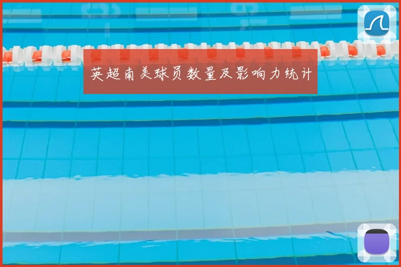 英超南美球员数量及影响力统计