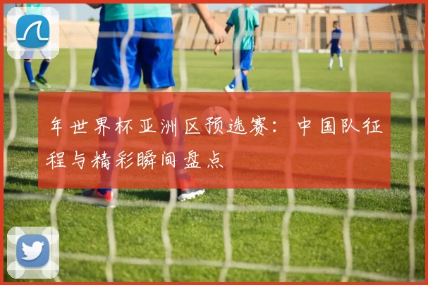 年世界杯亚洲区预选赛：中国队征程与精彩瞬间盘点
