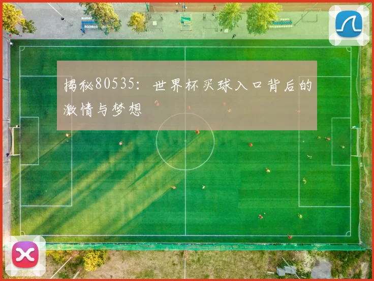 揭秘80535：世界杯买球入口背后的激情与梦想