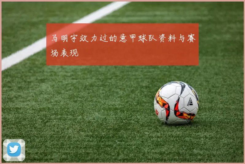 马明宇效力过的意甲球队资料与赛场表现