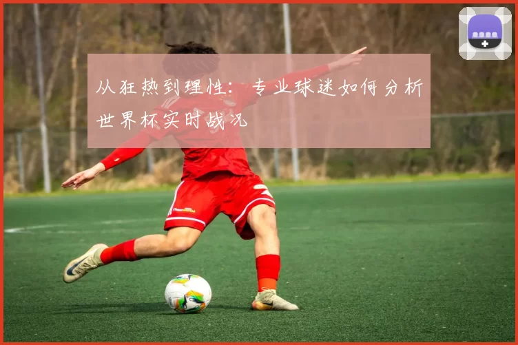 从狂热到理性：专业球迷如何分析世界杯实时战况